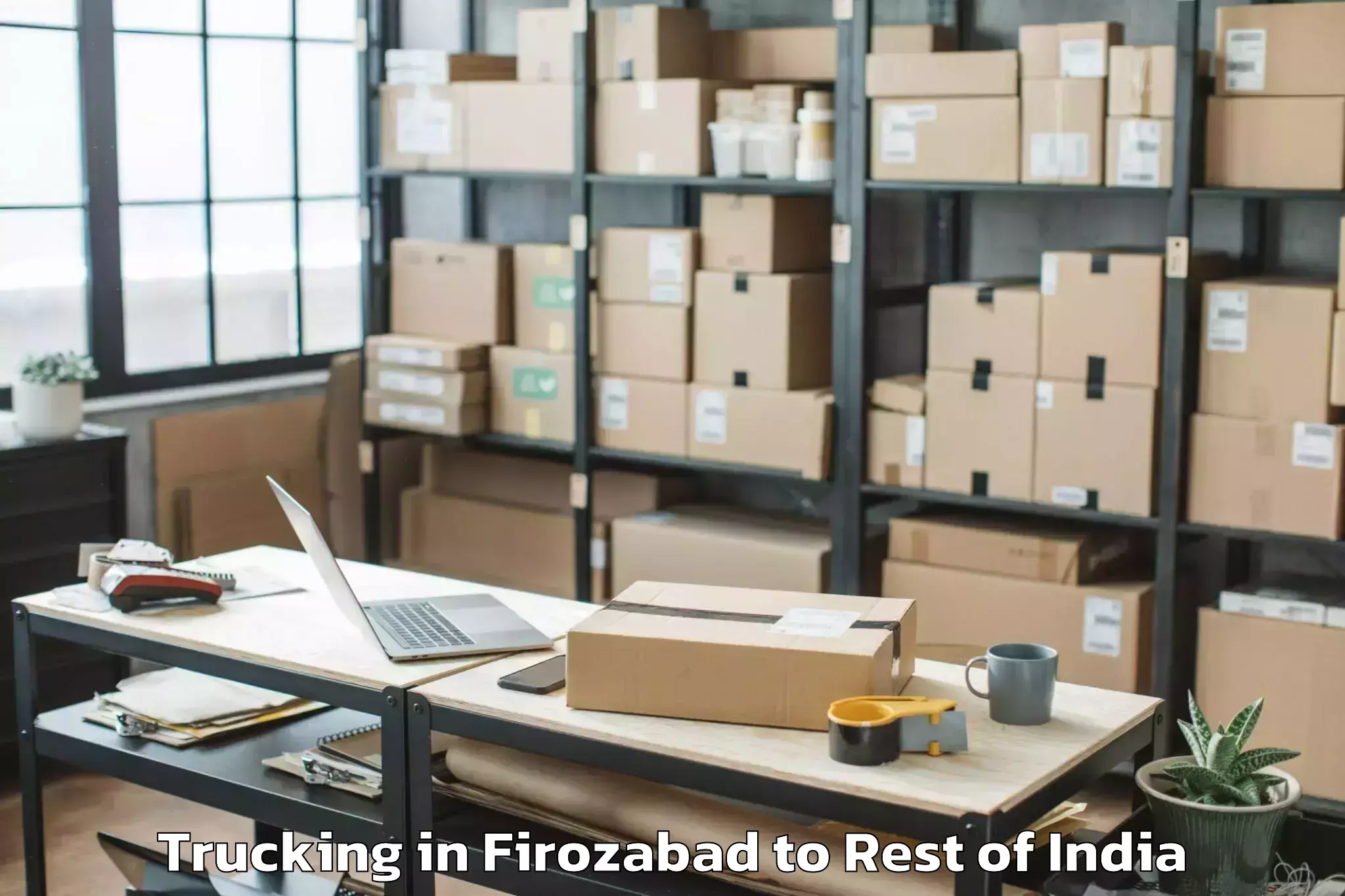 Trusted Firozabad to Mount Abu Trucking